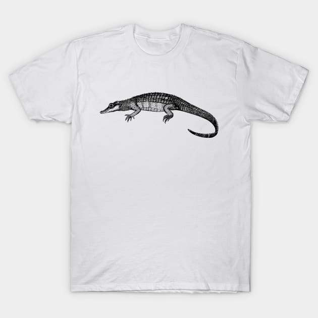 Alligator T-Shirt by linesdesigns